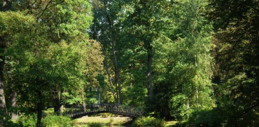 Co robić we wrocławskich parkach? Najciekawsze atrakcje i miejsca Na zdjęciu Park Szczytnicki we Wrocławiu