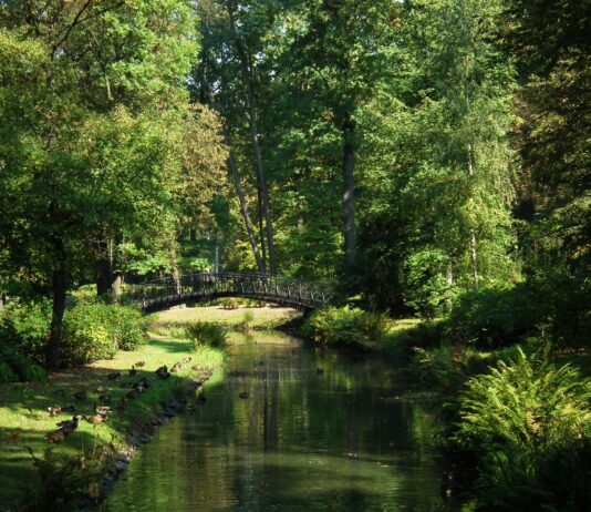 Co robić we wrocławskich parkach? Najciekawsze atrakcje i miejsca Na zdjęciu Park Szczytnicki we Wrocławiu