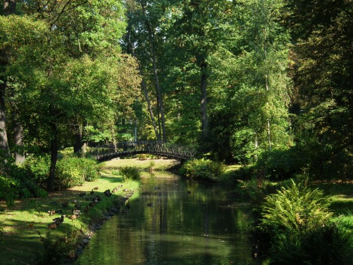 Na zdjęciu Park Szczytnicki we Wrocławiu