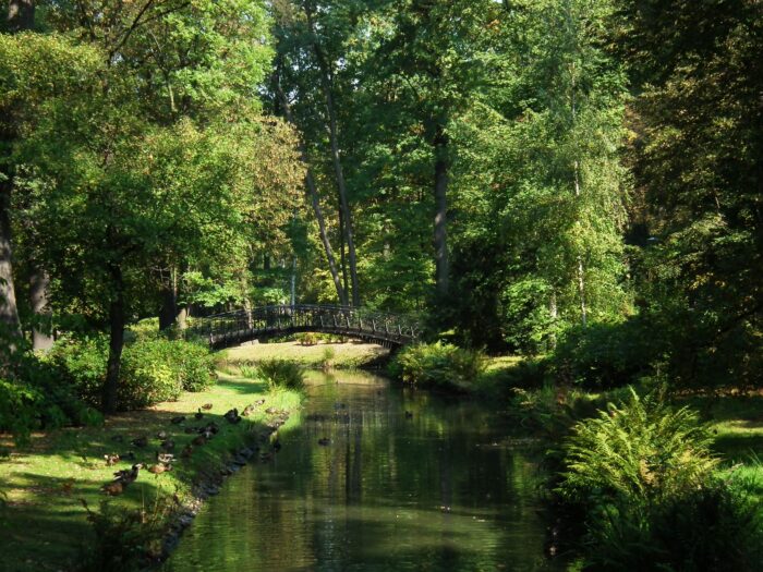 Na zdjęciu Park Szczytnicki we Wrocławiu