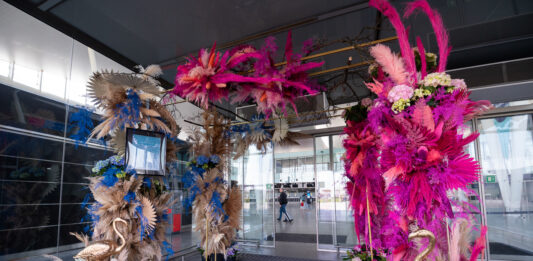 Wrocław: Festiwal Kwiatów z Zamku Książ przyleciał na lotnisko!