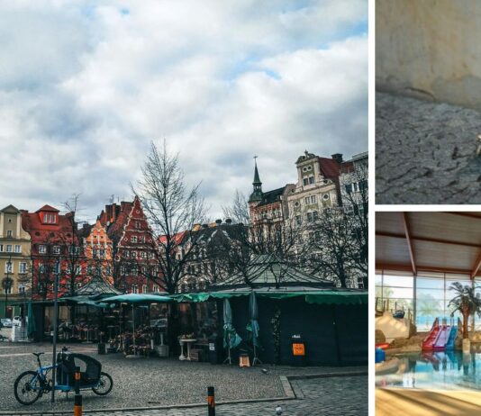 Majówka z dziećmi we Wrocławiu – gdzie się wybrać?