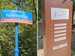 Muzyka Niemena na skwerze jego imienia we Wrocławiu