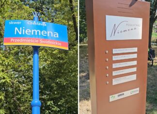 Muzyka Niemena na skwerze jego imienia we Wrocławiu