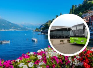 Lato z FlixBusem – prawie 250 kierunków bezpośrednio z Wrocławia. Przewóz roweru za 1 zł