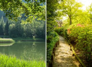 Majówka 2024: 5 najciekawszych atrakcji blisko Wrocławia