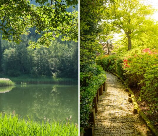 Majówka 2024: 5 najciekawszych atrakcji blisko Wrocławia