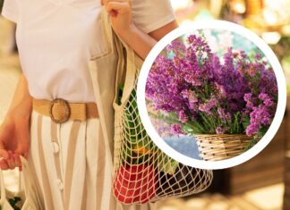 Kwietniki ze starych opon, wymiana elektrośmieci na roślinki: Piknik rodzinny już 1 września