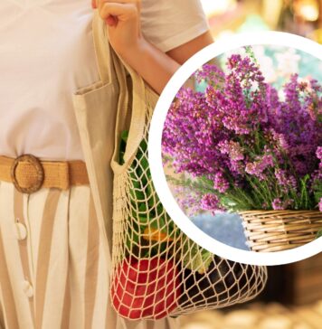 Kwietniki ze starych opon, wymiana elektrośmieci na roślinki: Piknik rodzinny już 1 września