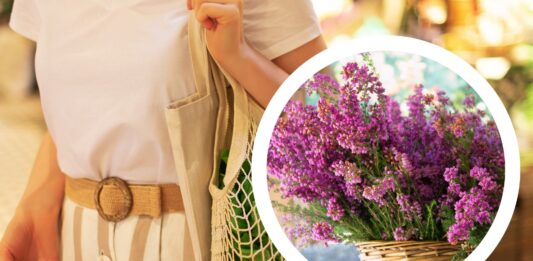 Kwietniki ze starych opon, wymiana elektrośmieci na roślinki: Piknik rodzinny już 1 września