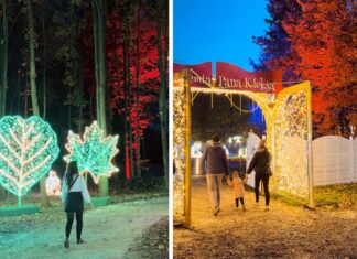 Lumina Park powraca! Największy park iluminacji na Dolnym Śląsku już otwarty