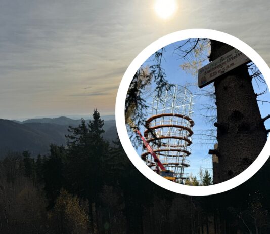 Dzikowiec – turystyczna perła Dolnego Śląska, o której mogliście nie słyszeć