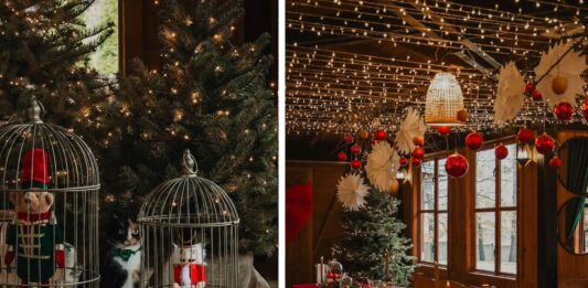 Mikołajki na Dolnym Śląsku – gdzie pojechać i co zobaczyć?