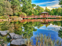 Wrocław: 6 najpiękniejszych miejsc na wiosenny spacer