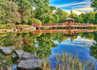 Wrocław: 6 najpiękniejszych miejsc na wiosenny spacer