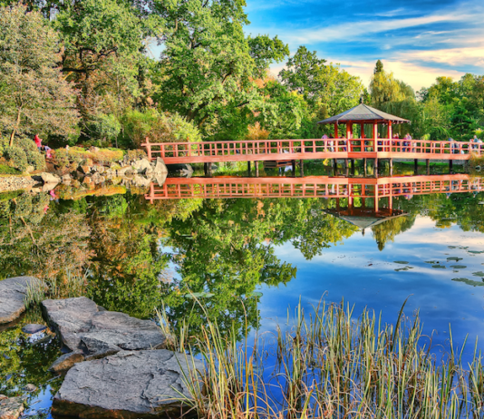 Wrocław: 6 najpiękniejszych miejsc na wiosenny spacer