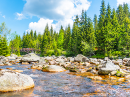 5 najpiękniejszych miejsc w Górach Izerskich, które musisz odwiedzić!