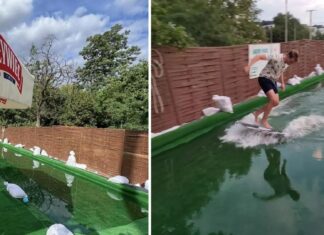 We Wrocławiu na jednej z miejskich plaż powstał tor skimboardowy! Poślizgaj się na desce w centrum miasta