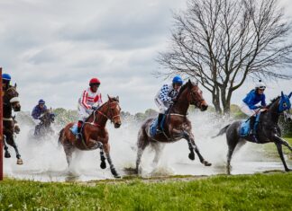 Wielka Majówka na Partynicach: Rodzinne święto na Wrocławskim Torze Wyścigów Konnych