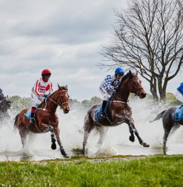 Wielka Majówka na Partynicach: Rodzinne święto na Wrocławskim Torze Wyścigów Konnych