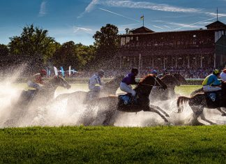 Wielka Wrocławska – największe wydarzenie sezonu wyścigów konnych na Partynicach już w niedzielę!