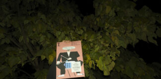 Zakończenie jesieni z elektroniką i sąsiedzką kuchnią w nietypowym miejscu na Księżu Małym