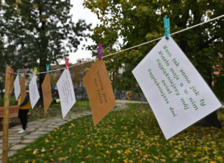 Skwer Czesława Niemena we Wrocławiu. Jeszcze piękniejszy i bardziej zielony!