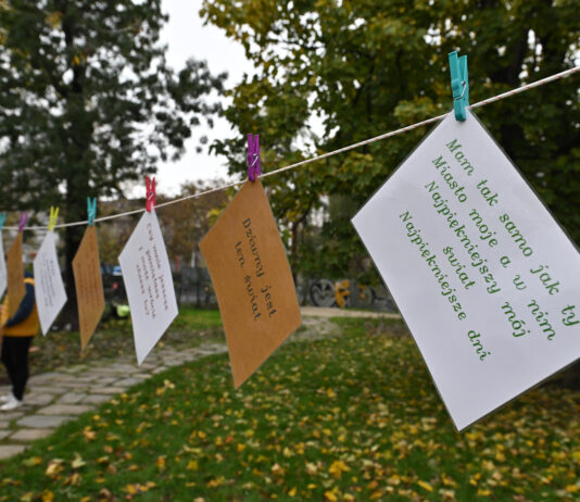 Skwer Czesława Niemena we Wrocławiu. Jeszcze piękniejszy i bardziej zielony!