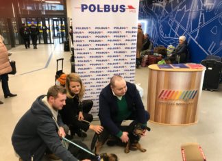 Adoptowałeś zwierzaka? Skorzystasz z darmowego przejazdu autobusami POLBUS-PKS