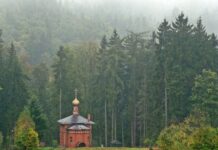 Rusza 14. Festiwal Filmowy „Hommage à Kieślowski” w Sokołowsku