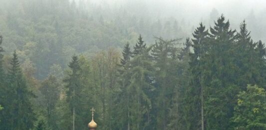 Rusza 14. Festiwal Filmowy „Hommage à Kieślowski” w Sokołowsku