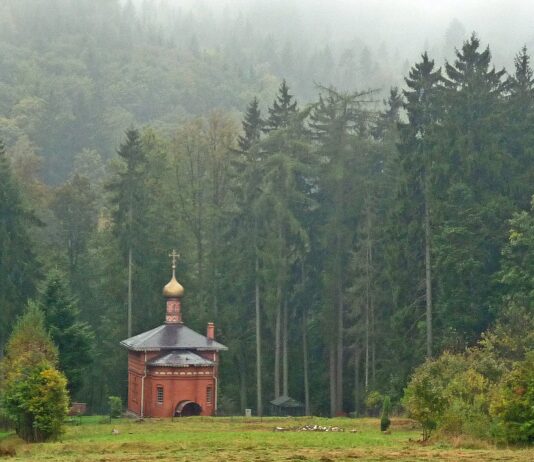 Rusza 14. Festiwal Filmowy „Hommage à Kieślowski” w Sokołowsku