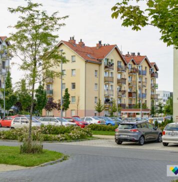 Sąsiedzkie EKOspotkania. Pierwsze już w sobotę na Stabłowicach!