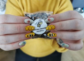 Odbierz darmowe nasiona, zasiej łąkę i pomóż pszczołom!