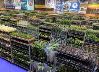 Wiosenna edycja Festiwalu Roślin we Wrocławiu! Ceny już od 5 zł