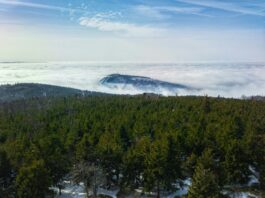 Ferie na Dolnym Śląsku. 5 pomysłów na rodzinną wycieczkę niedaleko Wrocławia