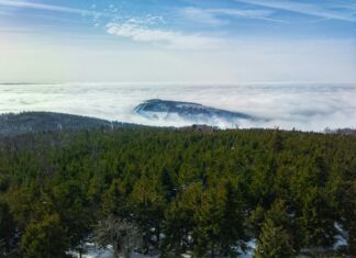 Ferie na Dolnym Śląsku. 5 pomysłów na rodzinną wycieczkę niedaleko Wrocławia