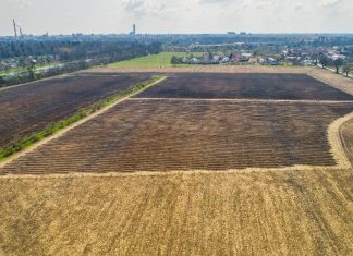 W tym miejscu na Osobowicach ruszyło nasadzenie 10 000 drzew! Powstanie tutaj hektarowy las