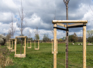 Nasadzenia drzew i kampania „O krok dalej”, czyli Wrocław Fashion Outlet z kolejnymi inicjatywami na rzecz zrównoważonego rozwoju