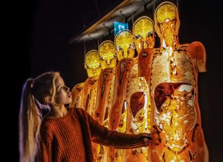 Anatomiczna Wystawa BODY WORLDS – VITAL zachwyca widzów we Wrocławiu!
