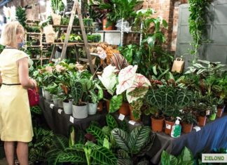 Targi Zielono Mi we Wrocławiu już w weekend!