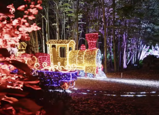 Park Iluminacji na Zamku Topacz już otwarty. Jest pięknie!