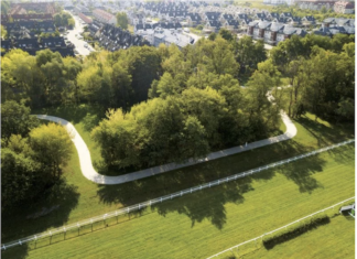 Na Partynicach powstanie nowa strefa relaksu i rekreacji! PartyNICE