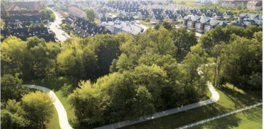 Na Partynicach powstanie nowa strefa relaksu i rekreacji! PartyNICE