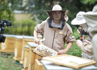 Wrocław: Na Uniwersytecie Przyrodniczym otwarto Europejską Pasiekę Miejską! 8 uli, setki tysięcy pszczół i łąka kwietna