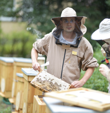 Wrocław: Na Uniwersytecie Przyrodniczym otwarto Europejską Pasiekę Miejską! 8 uli, setki tysięcy pszczół i łąka kwietna