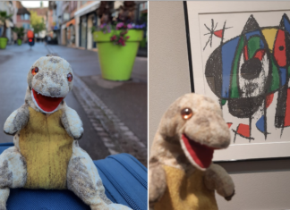 Zaginął Zgredek! Wrocławianka poszukuje pluszaka i oferuje 1000 zł dla znalazcy