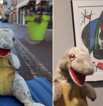 Zaginął Zgredek! Wrocławianka poszukuje pluszaka i oferuje 1000 zł dla znalazcy