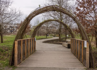 Otwarcie Parku Krzyckiego: nowa zielona przestrzeń we Wrocławiu