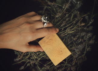 Wyjątkowa wystawa we Wrocławiu: Poznajcie historie i pasje osób w spektrum autyzmu!